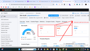 Website Audit For Canadian Client