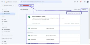Google indexing result