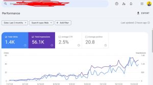 Shopify website GSC result