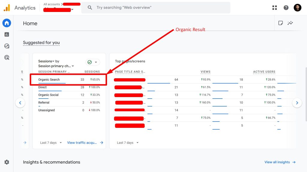Google Analytics sessions by channel organic search direct social referral - shopify seo consultant australia